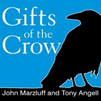 Gifts_of_the_Crow